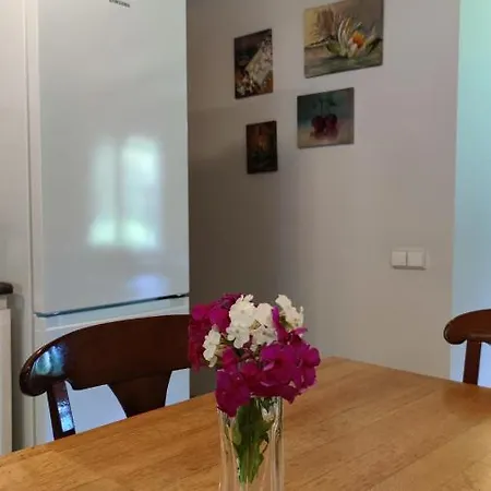 Brivdienu Maja Zivenes Nyaraló