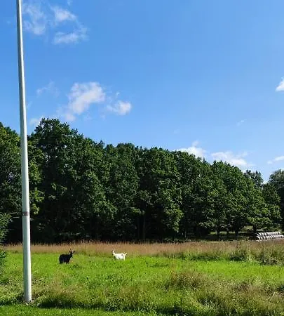 Nyaraló Brivdienu Maja Zivenes